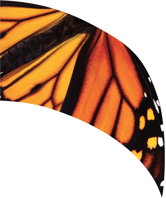 jual bendera marchingband